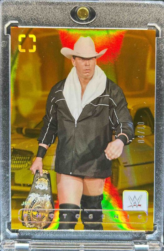 2024 Photogenic WWE #165 Gold /10