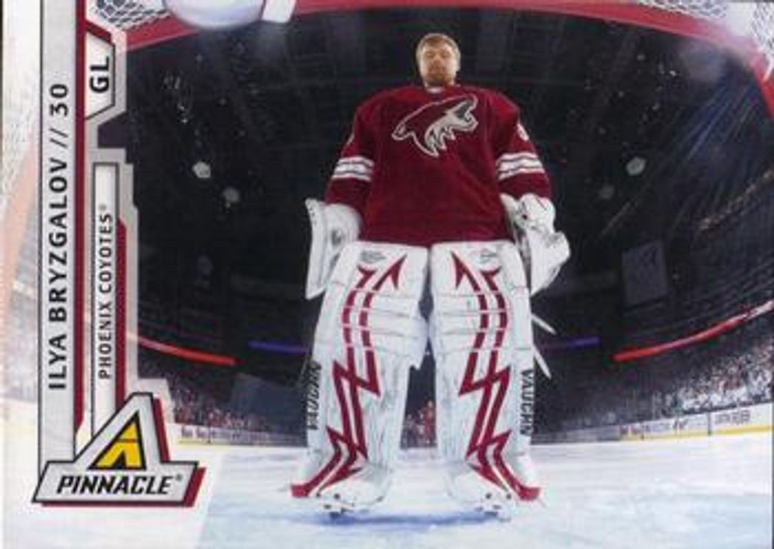 2010 Pinnacle #53 Base /299