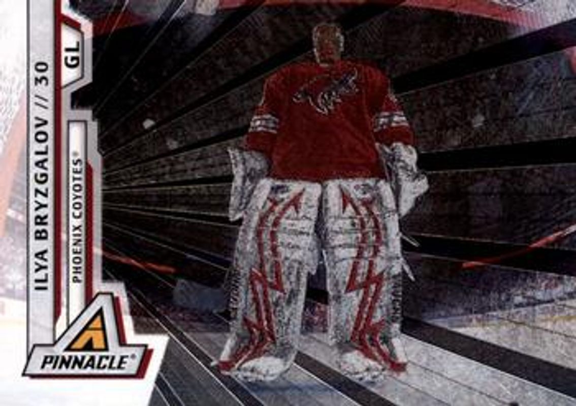 Ilya Bryzgalov 2010 Pinnacle #53 Rink Collection RAW