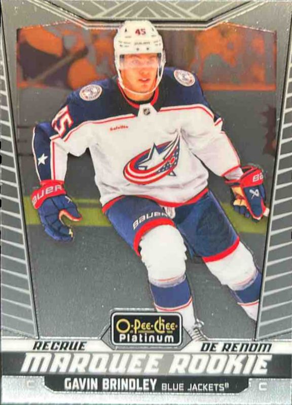 Gavin Brindley 2024 O-Pee-Chee Platinum #229 Base Rookie RAW