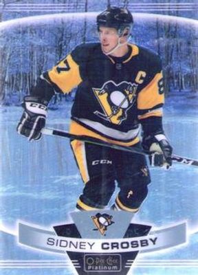 2019 O-Pee-Chee Platinum #1 Pond Hockey