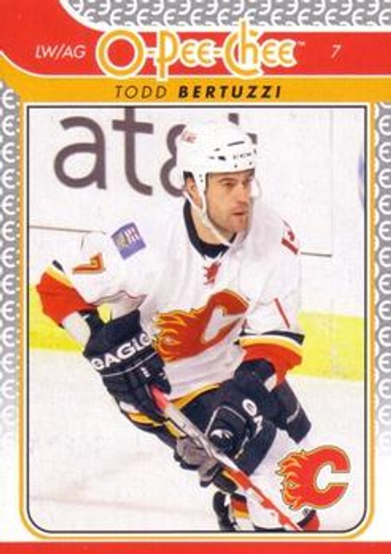 Todd Bertuzzi 2009 O-Pee-Chee #210 Base RAW