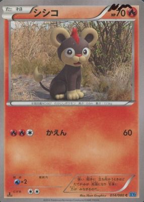 2014 Japanese XY: Wild Blaze #014/080 1st Edition