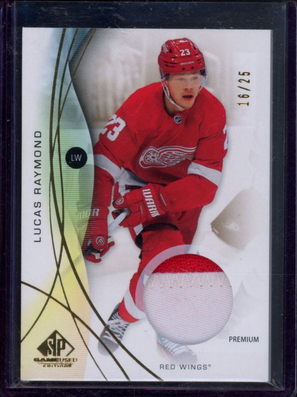Lucas Raymond 2024 SP Game Used #14 Gold /149 RAW