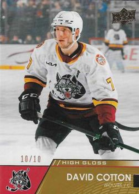 2021 Upper Deck AHL #75 High Gloss /10