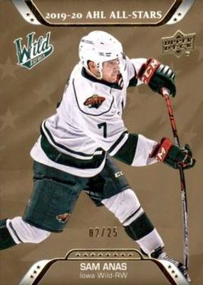 2020 Upper Deck AHL #213 Gold /25