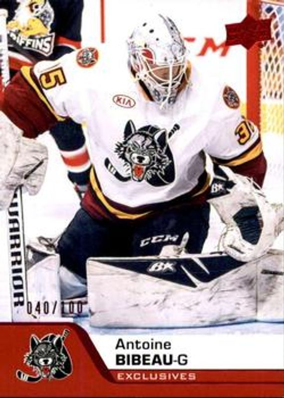 2020 Upper Deck AHL #14 UD Exclusives /100