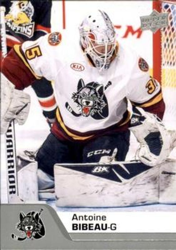 2020 Upper Deck AHL #14 Base