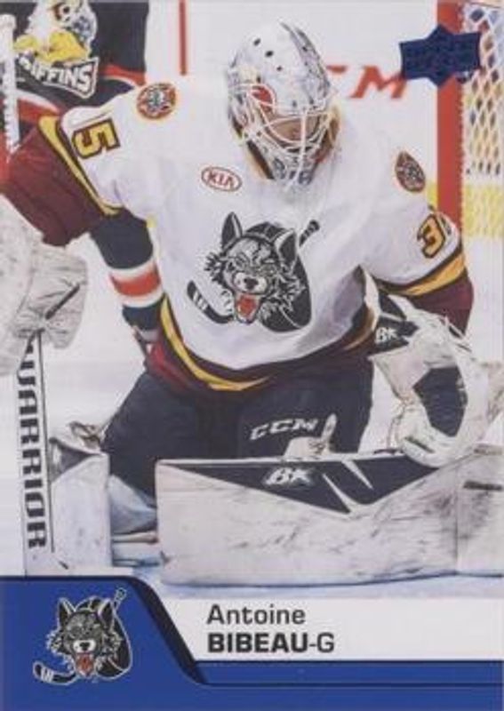 2020 Upper Deck AHL #14 Blue