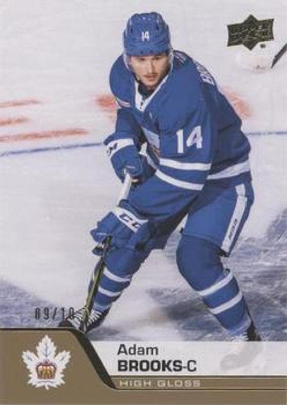 2020 Upper Deck AHL #16 UD High Gloss /10