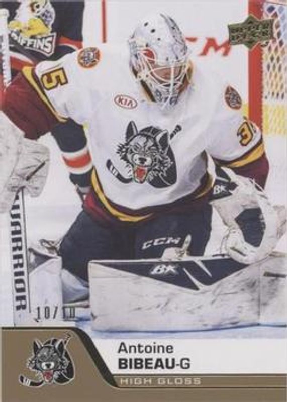 2020 Upper Deck AHL #14 UD High Gloss /10