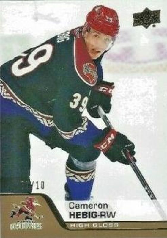 2020 Upper Deck AHL #135 UD High Gloss /10