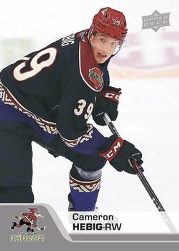 2020 Upper Deck AHL #135 Base