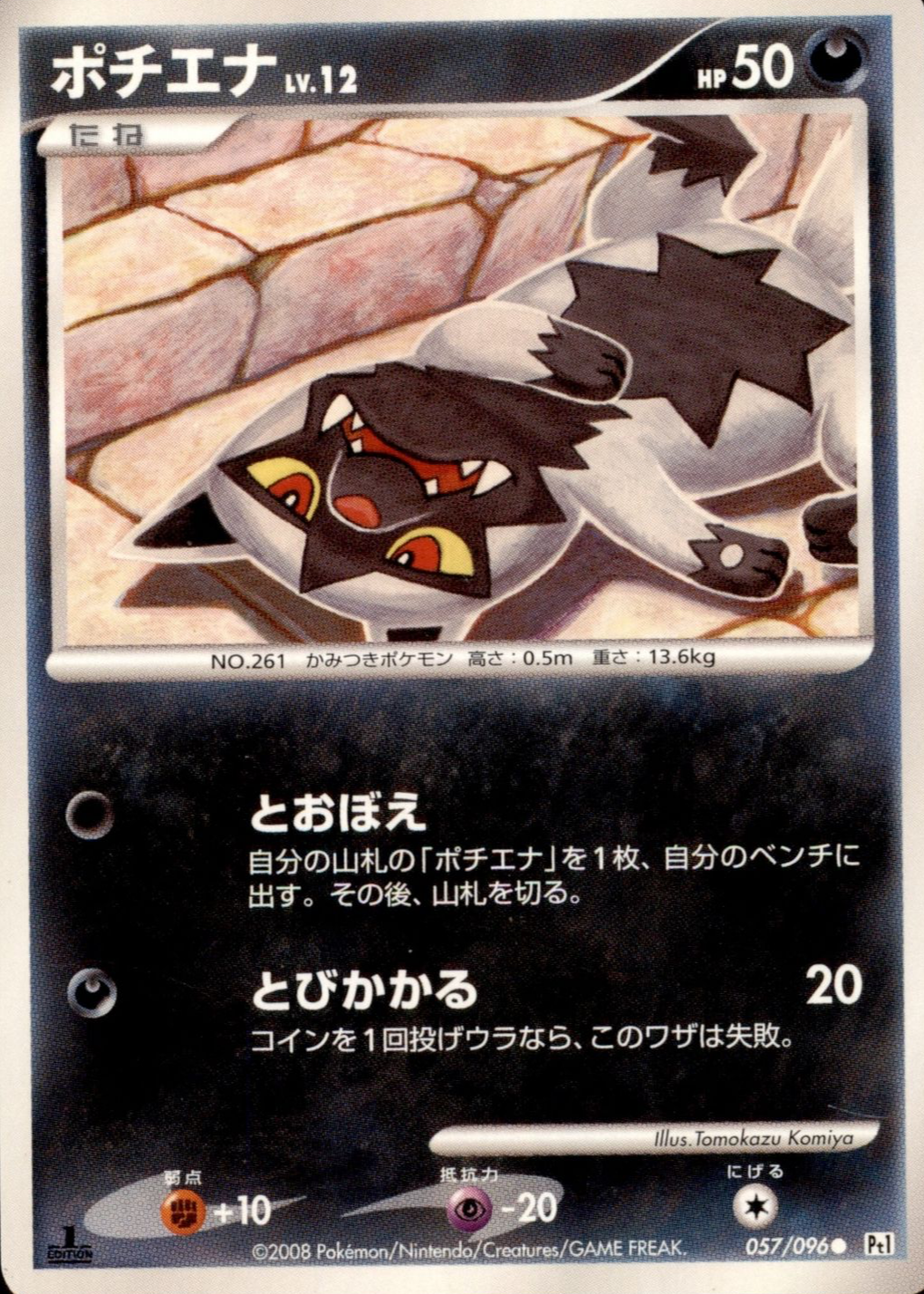 Poochyena Pokemon Cards Price Guide - Sports Card Investor