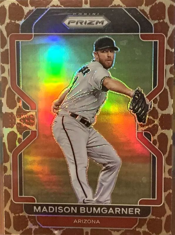 2022 Prizm #141 Giraffe