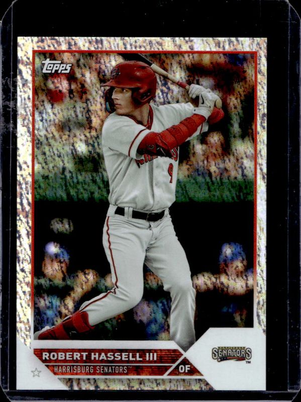 Robert Hassell III 2023 Topps Pro Debut #PD-89 Sparkle /175 RAW
