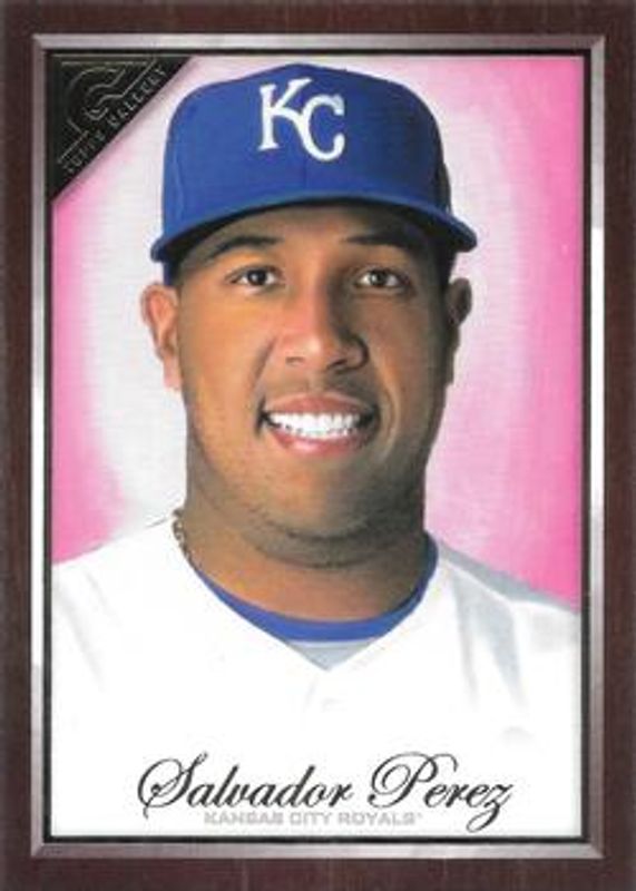Salvador Perez 2019 Topps Gallery #100 Wood RAW