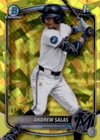 Shop this card on ebay_jobs