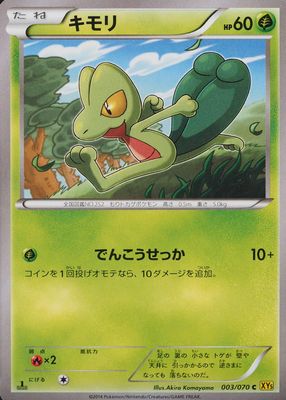 2014 Japanese XY: Gaia Volcano #003/070 1st Edition