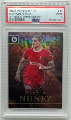 2023 Select Premier League #17 Artistic Impressions