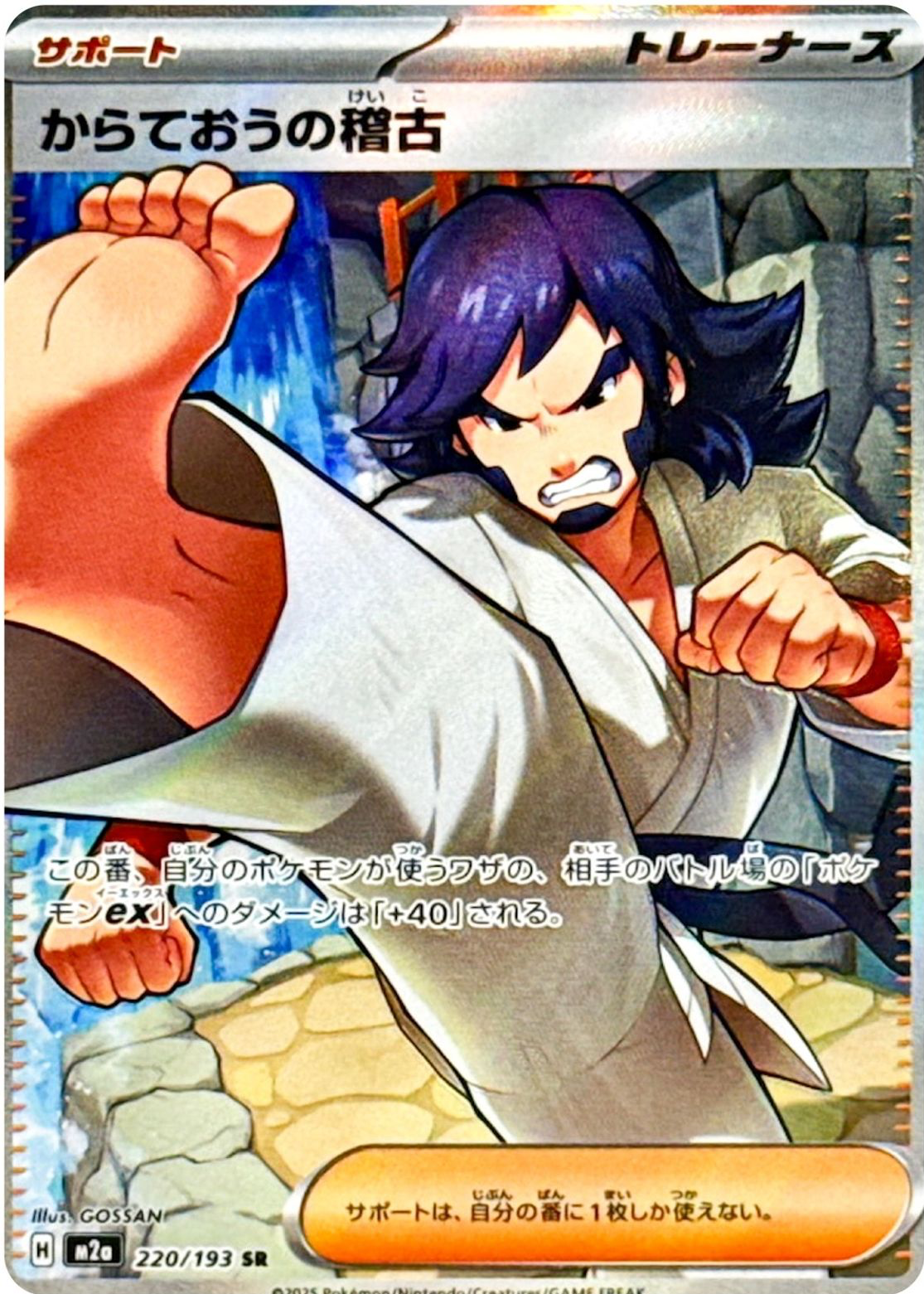 Black Belt's Training Pokemon Cards Price Guide - Sports Card Investor