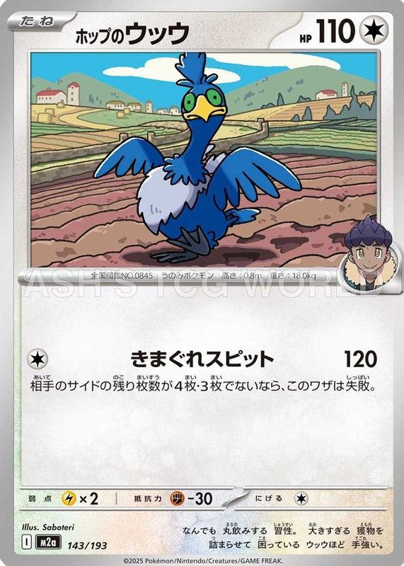 2025 Japanese Mega: Mega Dream ex #143/193 Base