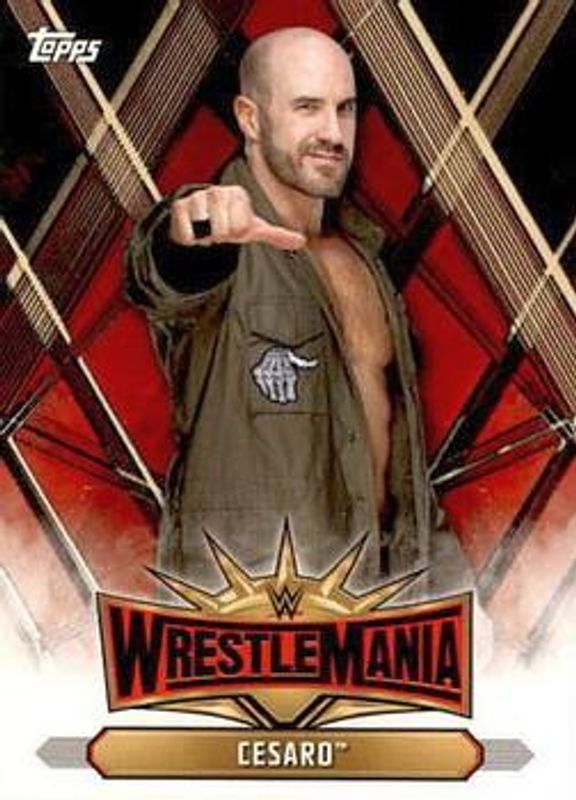 2019 Topps WWE Road to Wrestlemania #WM-28 Wrestlemania 35 Roster