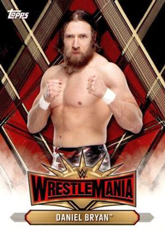 2019 Topps WWE Road to Wrestlemania #WM-15 Wrestlemania 35 Roster