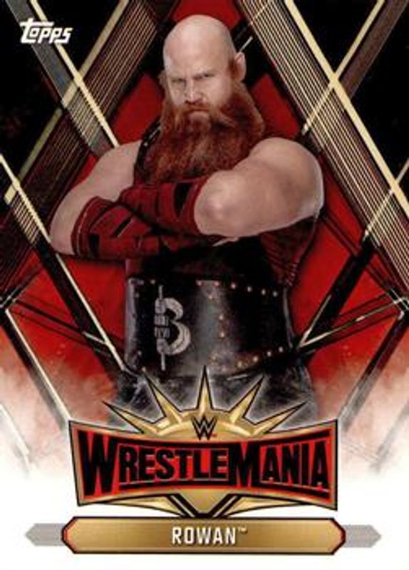 2019 Topps WWE Road to Wrestlemania #WM-31 Wrestlemania 35 Roster