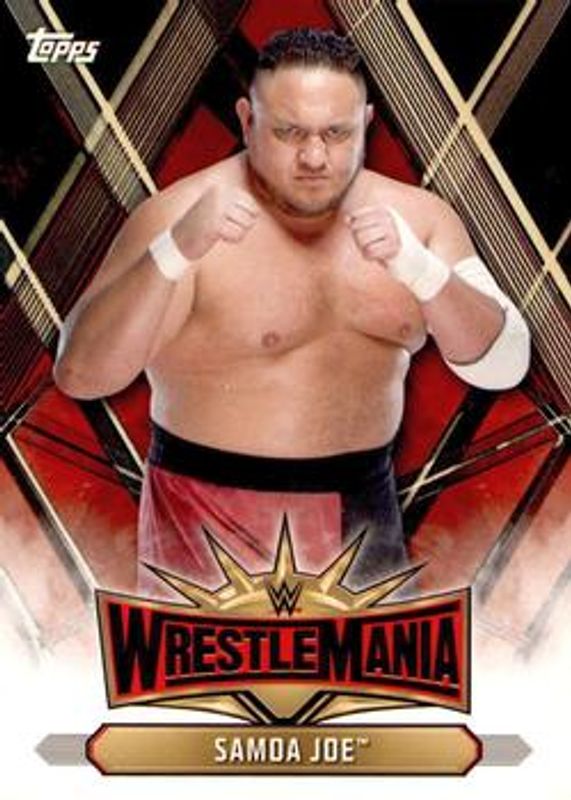 2019 Topps WWE Road to Wrestlemania #WM-44 Wrestlemania 35 Roster