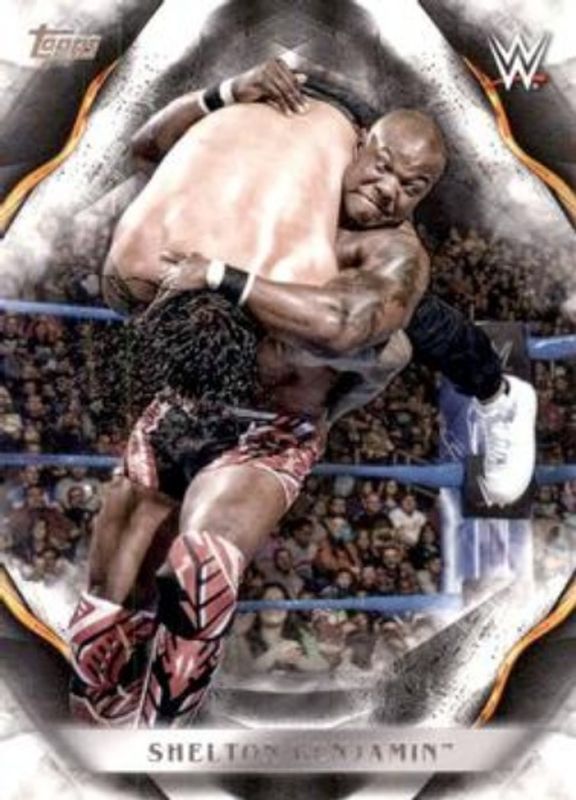 2019 Topps WWE Undisputed #67 Base