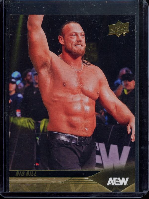2025 Upper Deck AEW #21 Gold