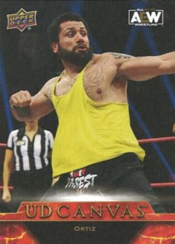 2024 Upper Deck AEW #C24 UD Canvas