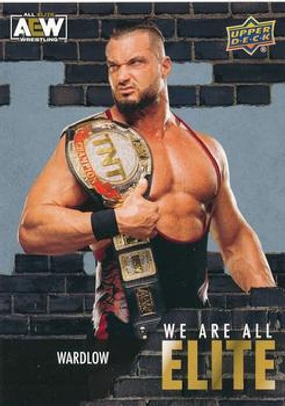 2023 Upper Deck AEW #AE-23 We Are All Elite Silver