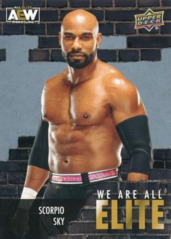 2023 Upper Deck AEW #AE-34 We Are All Elite Silver