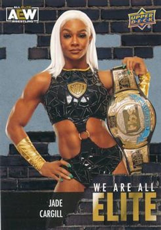 2023 Upper Deck AEW #AE-39 We Are All Elite Silver