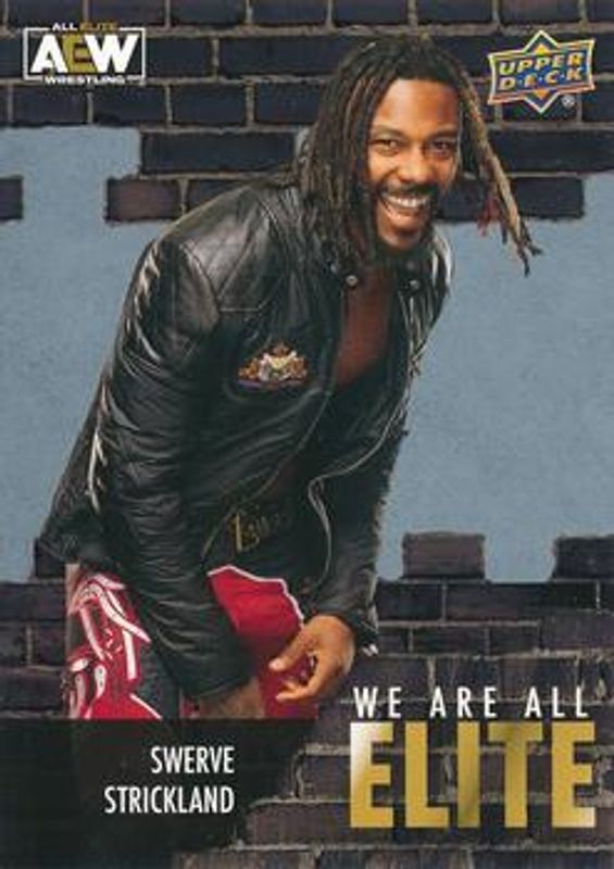 2023 Upper Deck AEW #AE-40 We Are All Elite Silver