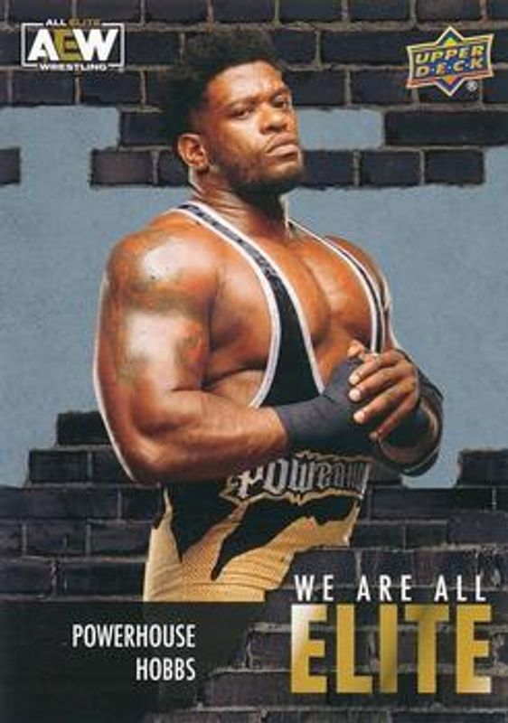 2023 Upper Deck AEW #AE-12 We Are All Elite Silver