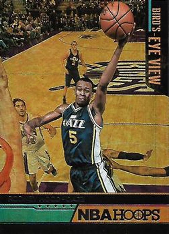 2016 Hoops #25 Bird's Eye View