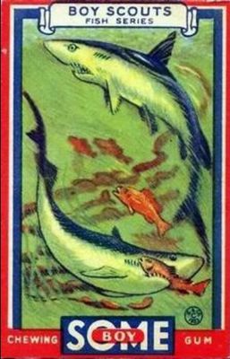 1933 Goudey Boy Scouts (R26) #22 Base