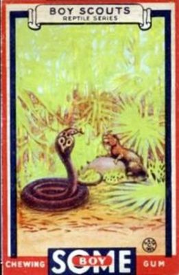 1933 Goudey Boy Scouts (R26) #16 Base