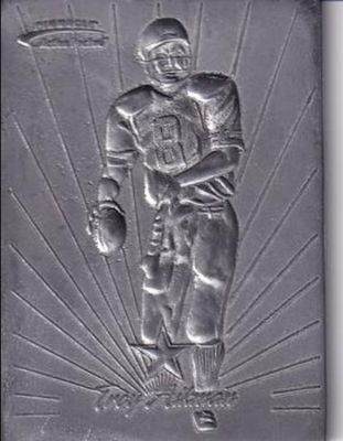 1996 Action Packed Flagship #14 Sculptor's Proof