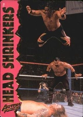 1995 Action Packed WWF #17 Base