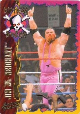 1995 Action Packed WWF #27 Base