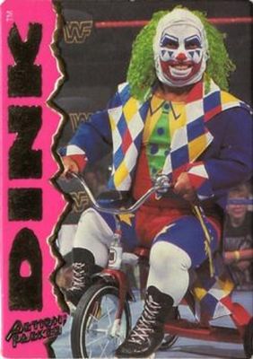 1995 Action Packed WWF #19 Base