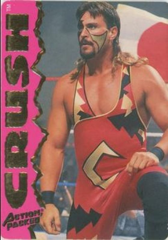 1995 Action Packed WWF #12 Base