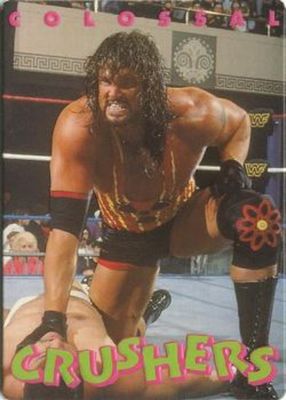 1994 Action Packed WWF #32 Base