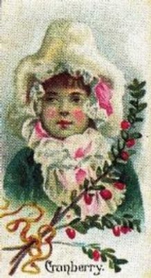 1989 Allen & Ginter Fruits (N12) (reprint) Base