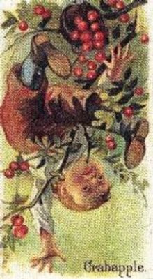 1989 Allen & Ginter Fruits (N12) (reprint) Base