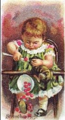 1989 Allen & Ginter Fruits (N12) (reprint) Base